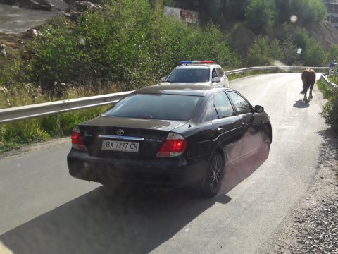 Автомобиль с номером BX7777CK